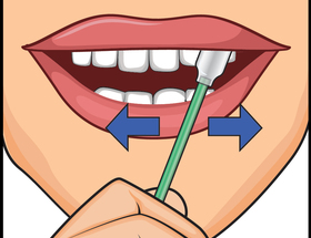 how to do a saliva hiv test 6